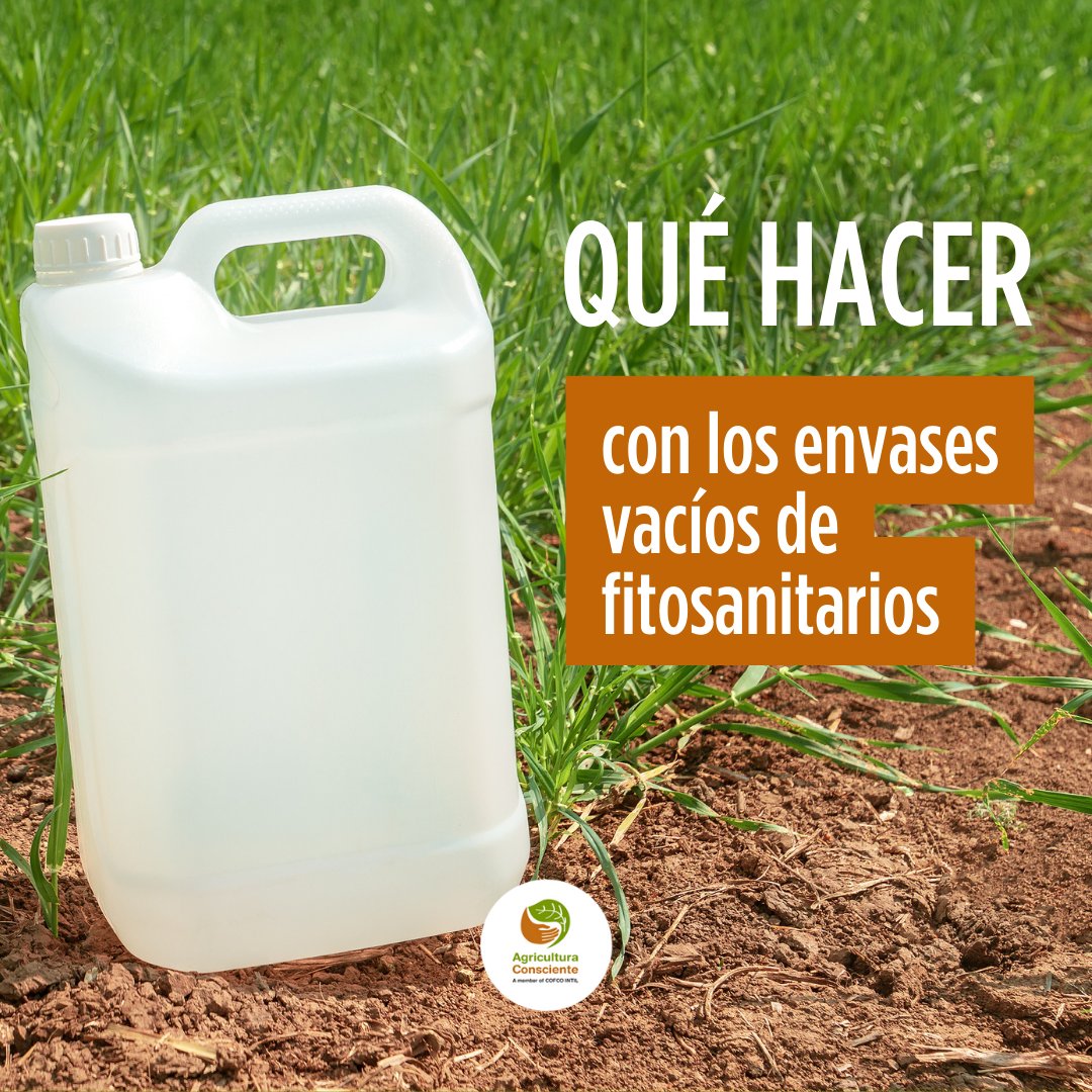 ¿Qué hacer con los envases vacíos de fitosanitarios? 1️⃣ Perforalos para evitar su reutilización  2️⃣ Llevalos a un sitio destinado para el depósito 3️⃣ Nunca los almacenes vacíos en pozos o basureros 4️⃣ Colocalos inutilizados en bolsas contenedoras ¡Sé un #agricultorconsciente! 🤝