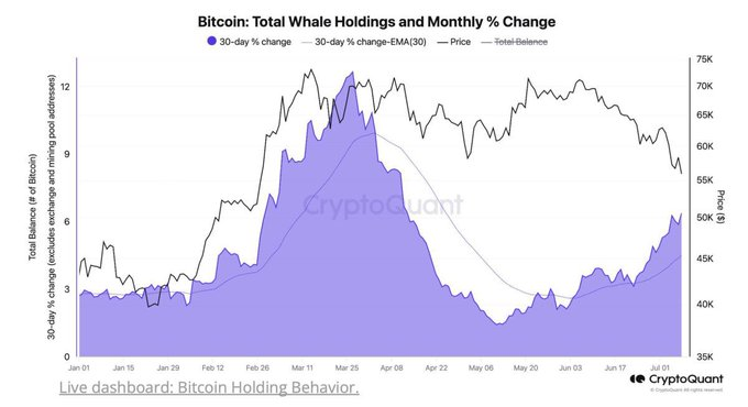 rpdnetwork's tweet photo. #Bitcoin long-term holders are accumulating at the highest rate since April 2023, with a monthly growth of 6.3%.
Increasing demand is supporting $btc price, despite market pressures from seized #btc and #mountgox.
This could indicate a potential price bottom. https://t.co/YMWyp1l6Pi
