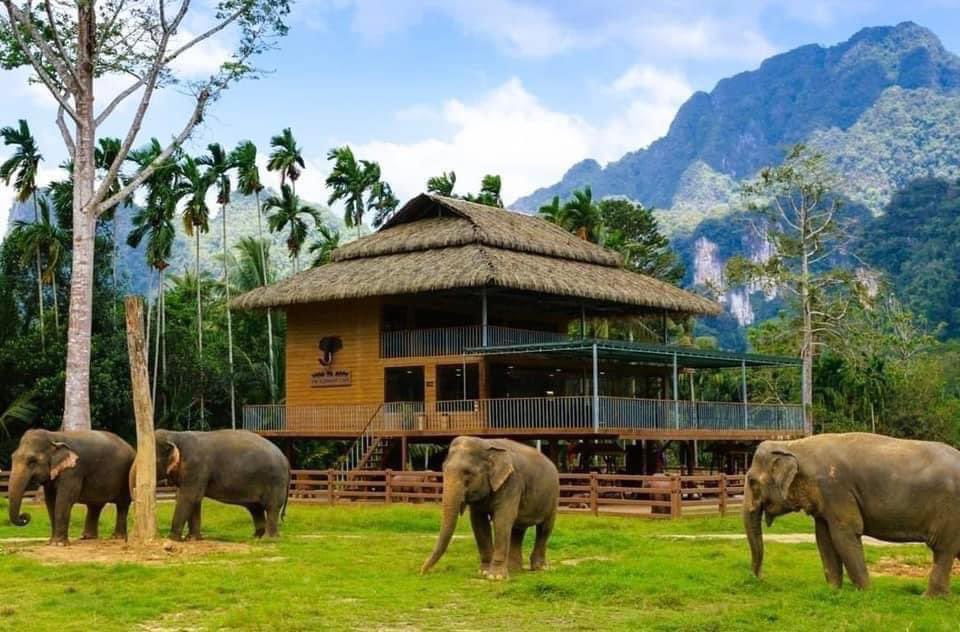 LisaOrme9's tweet photo. Thai Adventure inc. Elephant Hills
12 nts Visiting Bangkok, Elephant Hills Khao Sok &amp; Khao Lak
£1399.00pp 24 Sept 2024
🏨 3 Nights Rembrandt Hotel Bangkok
🐘 2 Nights at The Elephant Camp
🏨 7 Nights Apsara Beachfront Khao Lao
🚗 Private transfers
✈️ Flights from London Heathrow https://t.co/6dg3fAi2SK