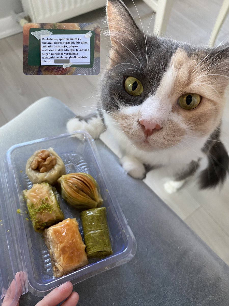 İstanbul Ortaköy'de bir vatandaş, yeni taşındığı dairesinde tadilat yapacağını bildirip vereceği rahatsızlıktan dolayı komşularına tatlı göndererek özür diledi.