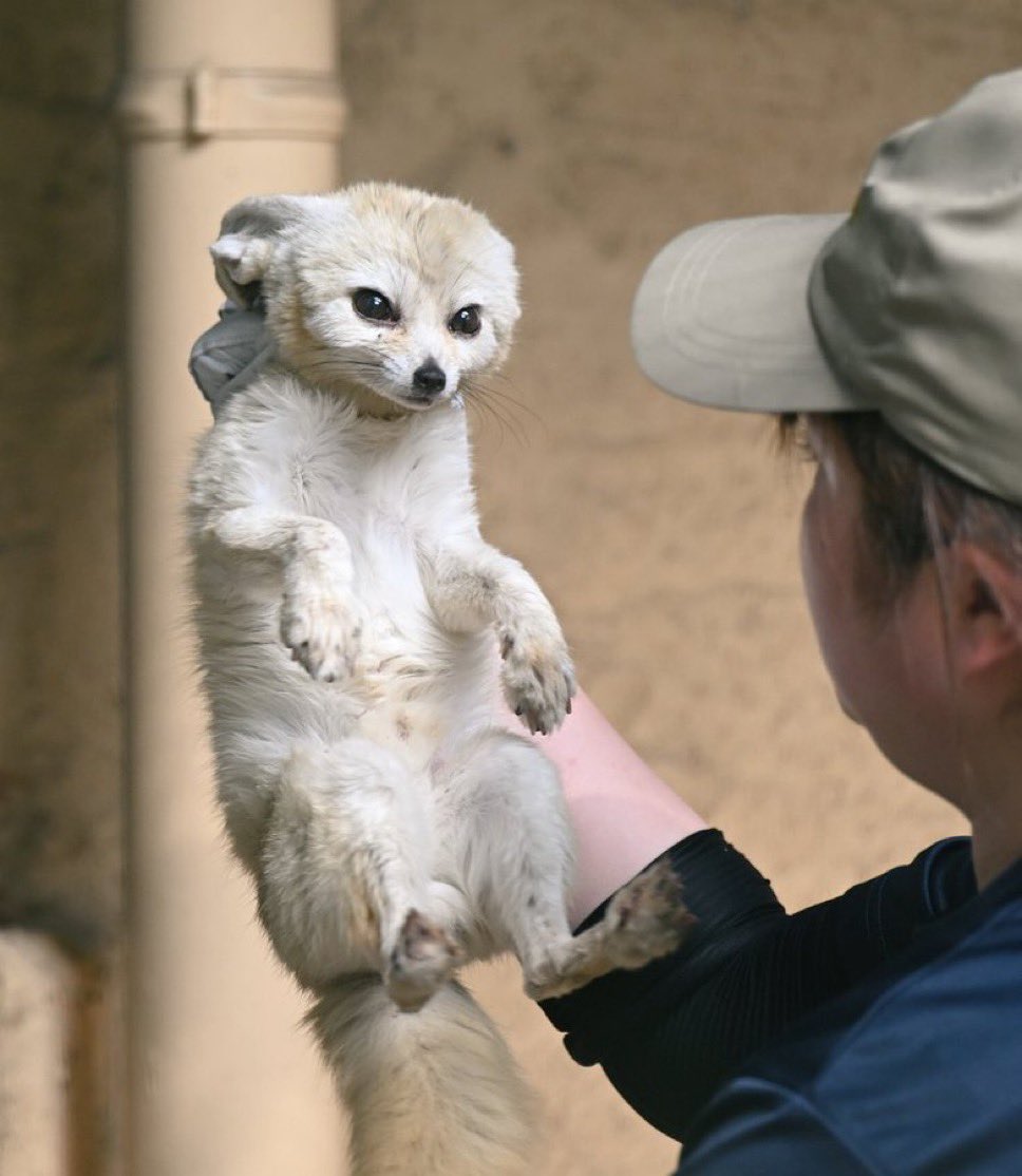Farmer inspecting their freshly grown harvest.