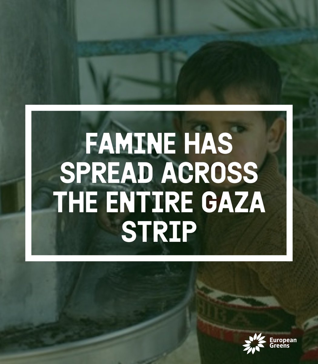 europeangreens's tweet photo. Famine has spread across the entire Gaza strip.

Children are dying from hunger, malnutrition, dehydration and lack of access to adequate healthcare.

We call on the EU to double their efforts for a #CeasefireNOW &amp; to pressure for the delivery of humanitarian aid. https://t.co/d8unKdsOjo
