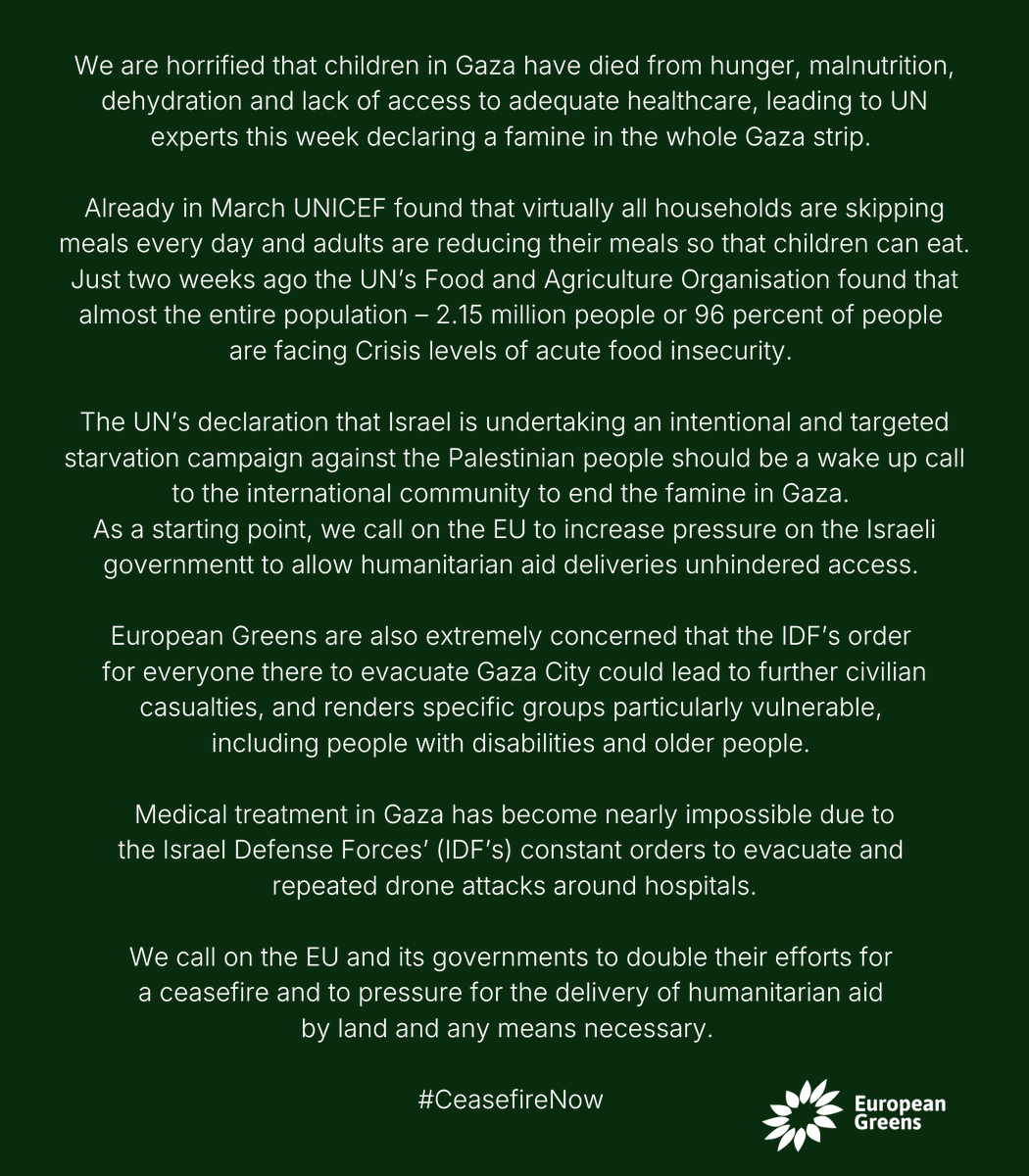 europeangreens's tweet photo. Famine has spread across the entire Gaza strip.

Children are dying from hunger, malnutrition, dehydration and lack of access to adequate healthcare.

We call on the EU to double their efforts for a #CeasefireNOW &amp; to pressure for the delivery of humanitarian aid. https://t.co/d8unKdsOjo