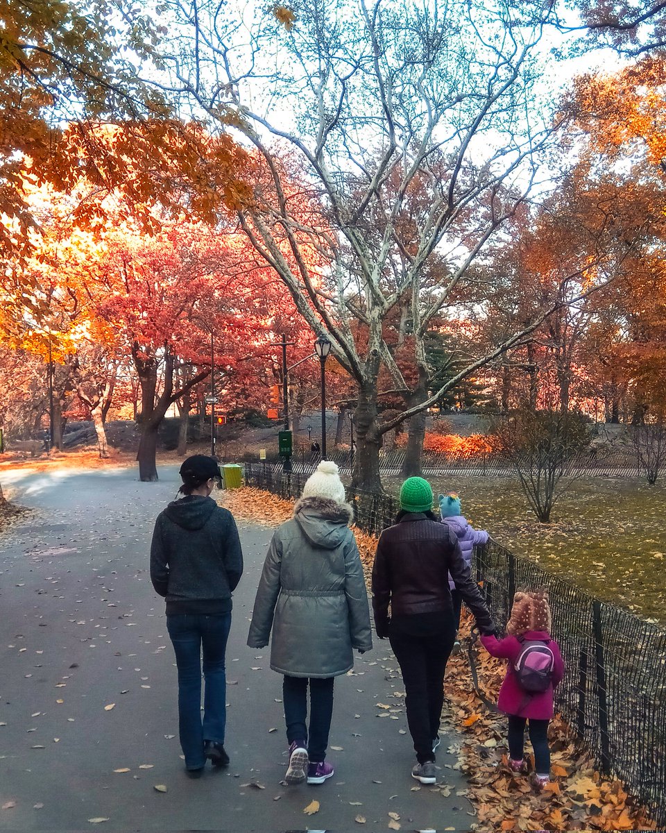 JessicaMLathrop's tweet photo. Is it just me, or is summer basically a competition to see who can sweat the most? 🤣 Take a break from the heat and enjoy this Central Park fall beauty. 🍂 #FallVibesNeeded #NYCThrowback #MeltingInTheSun ☀️ https://t.co/0nHzoh6Tgz