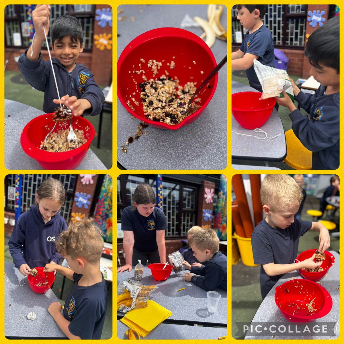 StEdwards_C2's tweet image. In science we have been learning about different animals. Our question today was ‘Are birds herbivores, carnivores or omnivores?’ We created bird feeders with the help of our friends in Class 5. @StEdwards_C5 #stedwardsscience