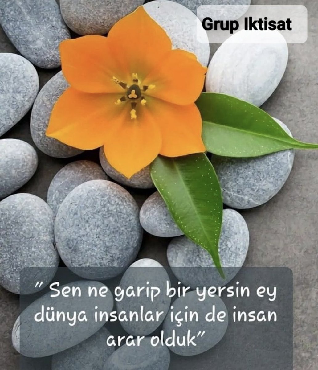 🌹GRUP IKTİSAT🌹
@minecanemine
<a href="/Hizireli/">Murat HIZIR</a>
<a href="/mkus27/">Mevlüt27⭐⭐⭐⭐⭐</a>
@1enm_
@1lrm_
<a href="/IboG27/">ibo</a>
<a href="/SiirSL_/">𝗦𝗶𝗶𝗿𝗦𝗟_💣💯✌️💯✌️💯✌️</a>
@Berguzar0011
@ic_sess06
<a href="/Tunc__/">Gianluca</a>
@merdiyece
<a href="/20ysf1/">Yusuf</a>
<a href="/nryd37/">Nuray</a>
<a href="/nykdmrl/">Nur🌙</a>
<a href="/fnd_56/">F̝̟͚̰̫u̴̶̸̺̙̳͡͞͠ͅňͤ̔̽̒ͦd̷̸̛̂͑̎ͧ̅ͮa</a>
<a href="/1j_qz/">âLp</a>
<a href="/kitleikna/">Sir Vival</a>
<a href="/HasretimsiN2712/">´¯`*•.¸¸.♡.¸¸£f§uN¸¸.•´¯`•.¸¸.☆</a>
<a href="/SiirSL1/">🌬️@SiirSL1🎊🎊</a>
<a href="/22cnslncn2_/">🩵 ҉Movie</a>
<a href="/Glsmk49/">Gülsüm🦋🦋🐱🌺</a>
@iyix__
<a href="/lanset6134/">L͙⃰a͙⃰n͙⃰s͙⃰e͙⃰t͙⃰</a>
<a href="/HUSSEINALI99637/">HUSSEIN ALI 22</a>
<a href="/Mehter_22/">Mehmet⭐⭐⭐⭐⭐💙💛</a>