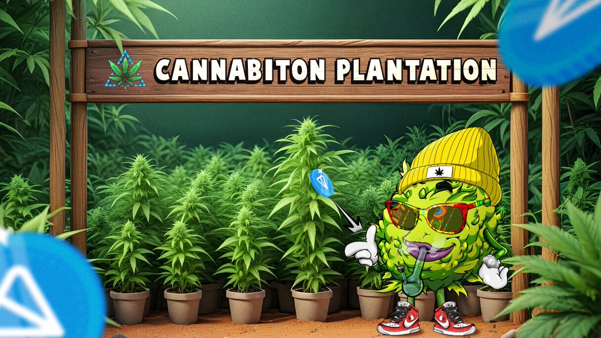 🌿👋 Meet Tony and Cannabi TON!

Welcome, everyone! Meet Tony, our hero who created Cannabi TON for all cannabis lovers and innovators. Discover how he got inspired to create this unique ecosystem. 🌟

Subscribe to our updates to stay informed about important announcements! 📲🌿