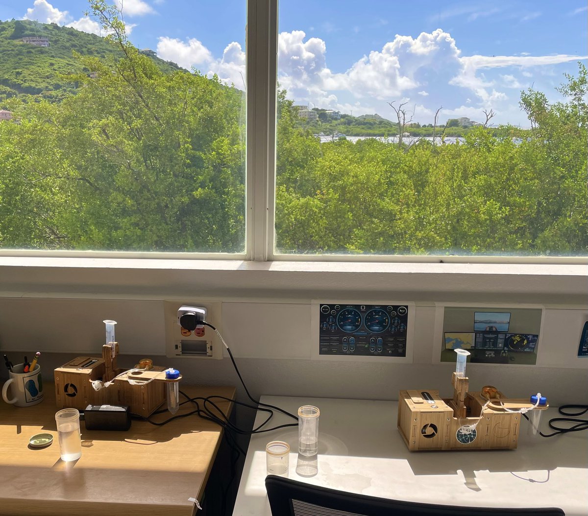 Ready to start the day at <a href="/hlsccvg/">HLSCC</a> with planktoscopes and samples from nearby salt ponds. 

Stay tuned for photos of the little critters we’ll get see! 

<a href="/planktoscope/">PlanktoScope</a> <a href="/fairscope_/">FairScope</a>