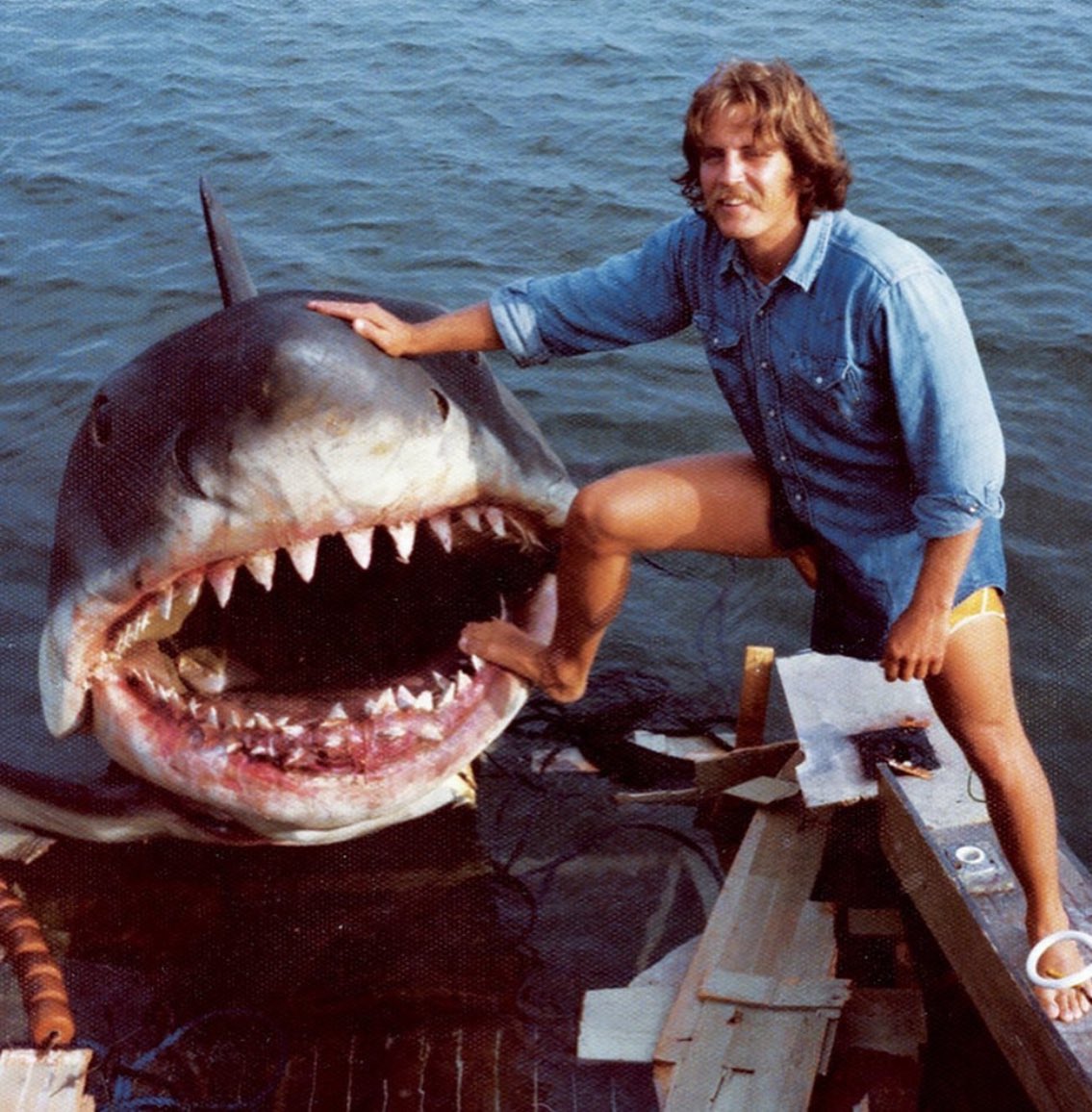 MarchaHist's tweet photo. Tubarão se transforma no pet do momento entre os veranistas de Recife (1986) https://t.co/f3JcngkQLL