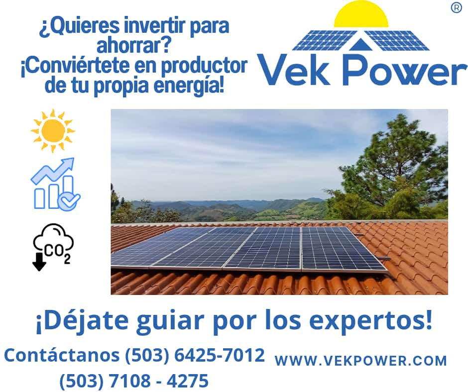 VekPower tweet media