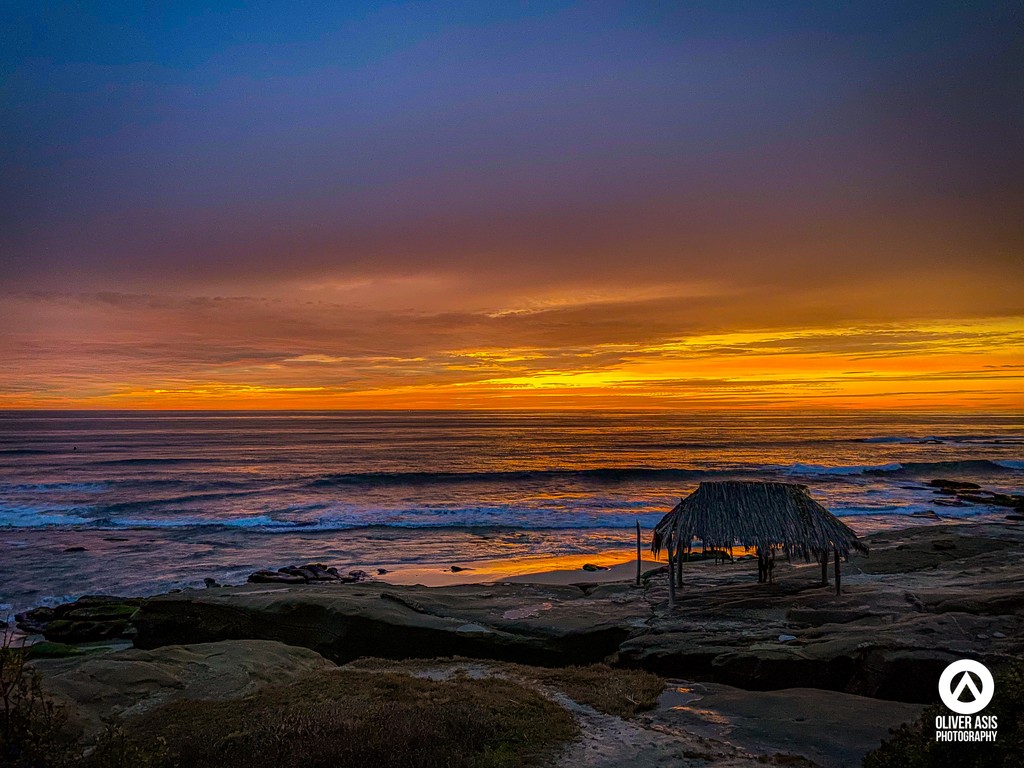 olasis's tweet image. Windansea Beach

#sandiego #windanseabeach #visitsandiego #visitcalifornia