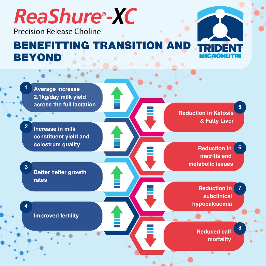 Trident MicroNutri tweet media