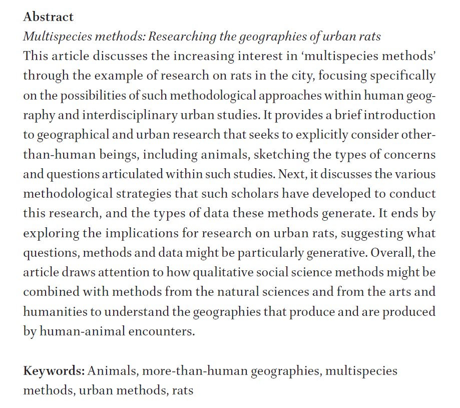 Tullio da Silva Maia 🍉 tweet media