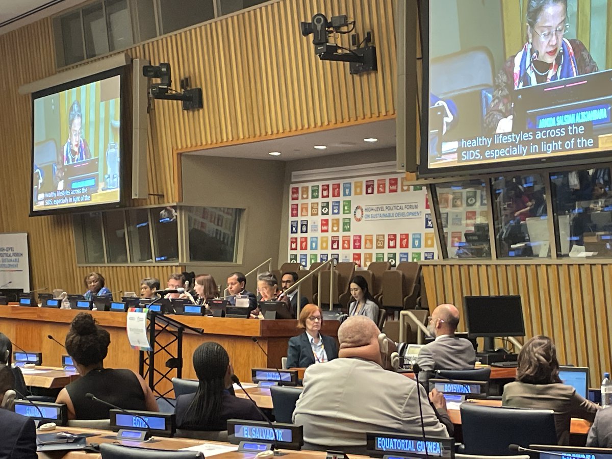 UN_Armida's tweet photo. At #HLPF, I stressed the need for actionable proposals for #ABAS implementation. #SIDS4

Enhancing human capital for #SIDS is crucial to strengthen their capacities, promote health, drive economic diversification and build climate resilience. https://t.co/tcI9vNpP2z
