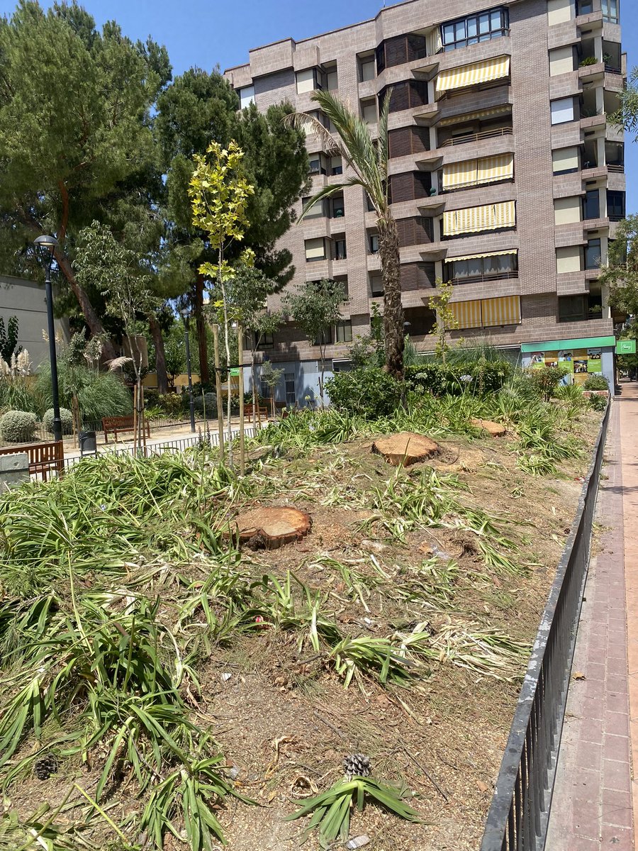 Cris Alcázar tweet media