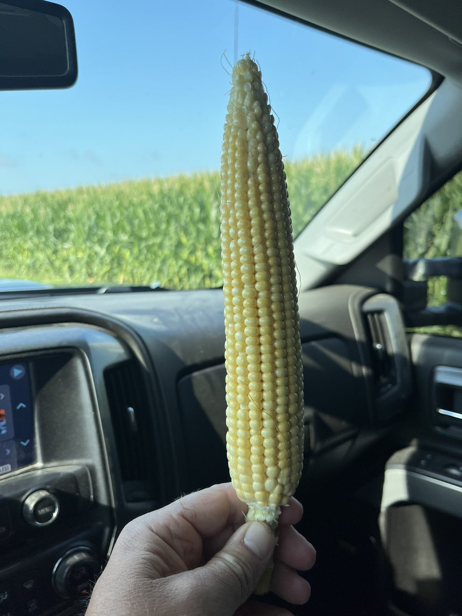 4.15 planted 111 day. Its coming along in Morgan co, IL!!