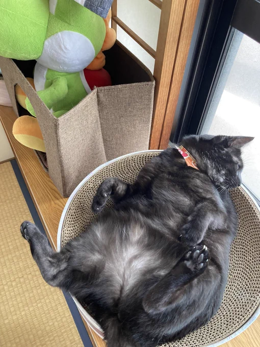 溢れ出す 
