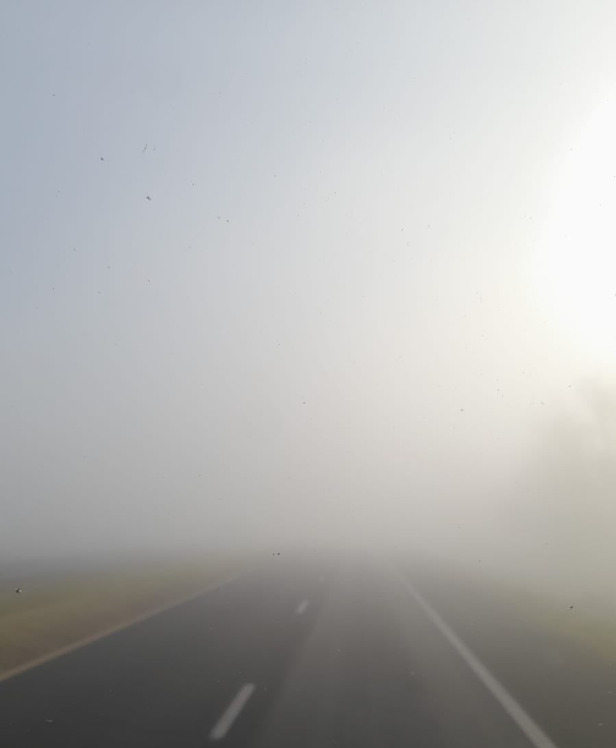 mbradanini's tweet photo. #ahora #RN12 Complejo Zarate - Brazo Largo, visibilidad reducida por bancos de niebla en diferentes sectores. Se recomienda transitar con extrema precaución. https://t.co/kFo5obulh2