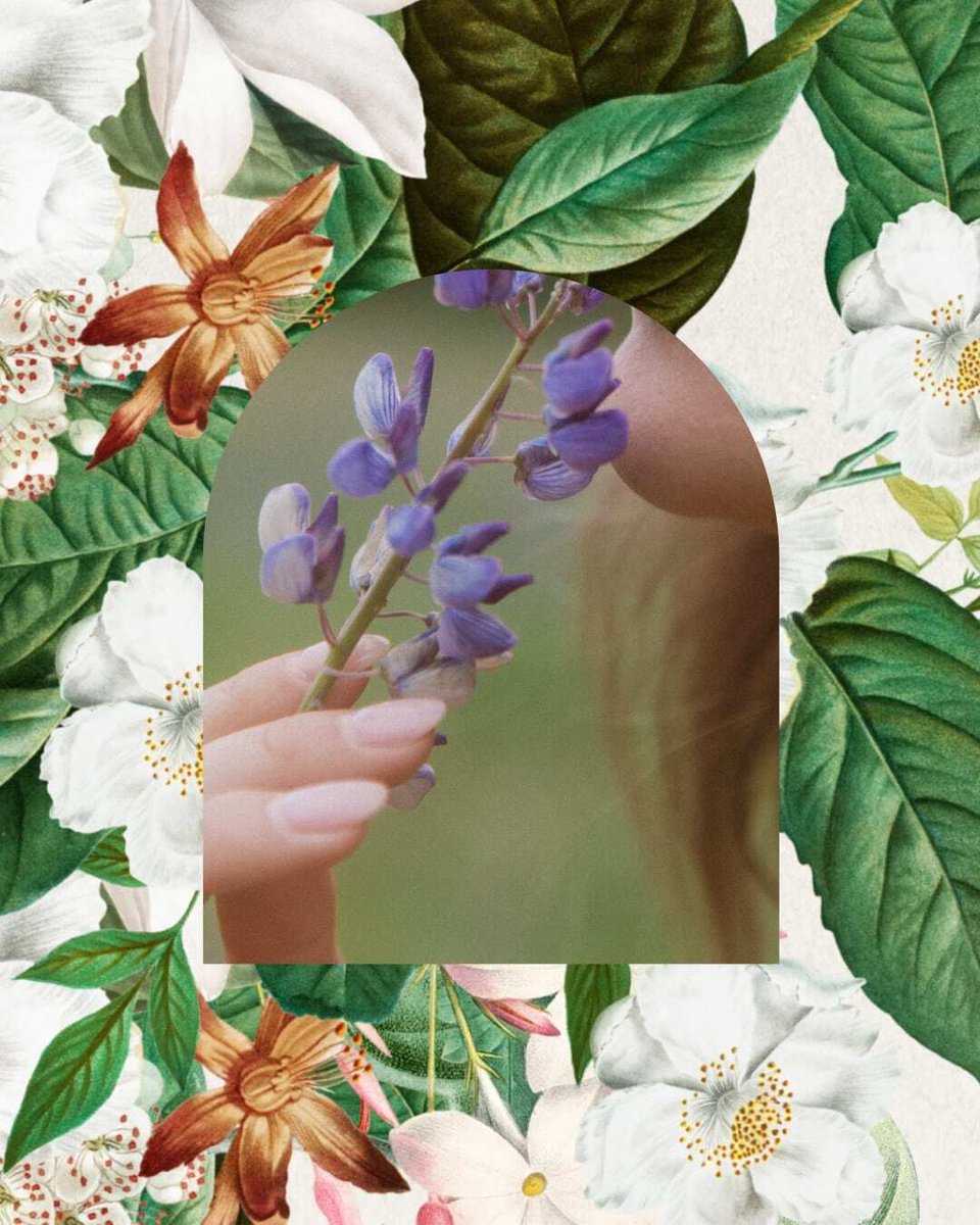 Treasure Hill tweet media