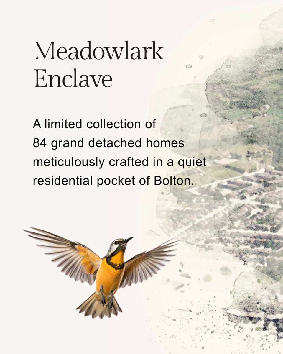 Treasure Hill tweet media