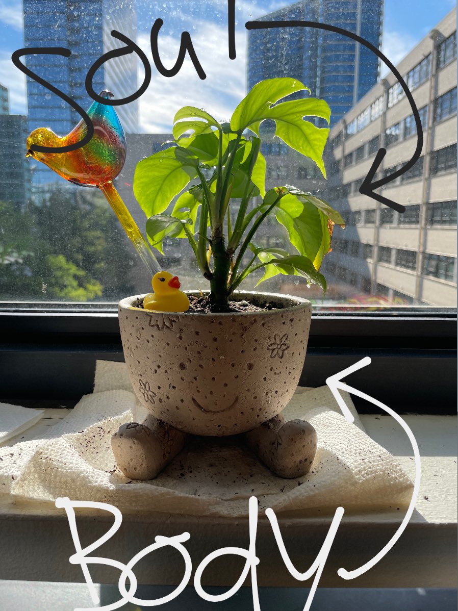 lexicon3k's tweet photo. sisyphus and his anatomy 

i rescued sisyphus from an ikea clearance section, he was close to death but now he’s stronger than ever 
[ i also gave him a body] https://t.co/fh1b2sfdxO