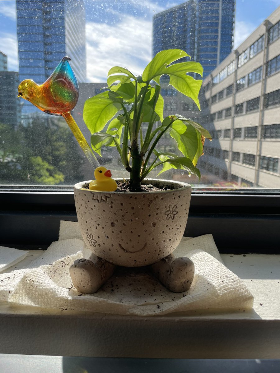 lexicon3k's tweet photo. sisyphus and his anatomy 

i rescued sisyphus from an ikea clearance section, he was close to death but now he’s stronger than ever 
[ i also gave him a body] https://t.co/fh1b2sfdxO