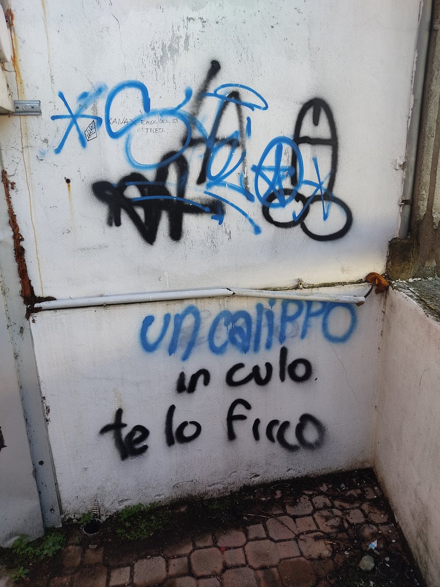 Maxito9403 tweet media