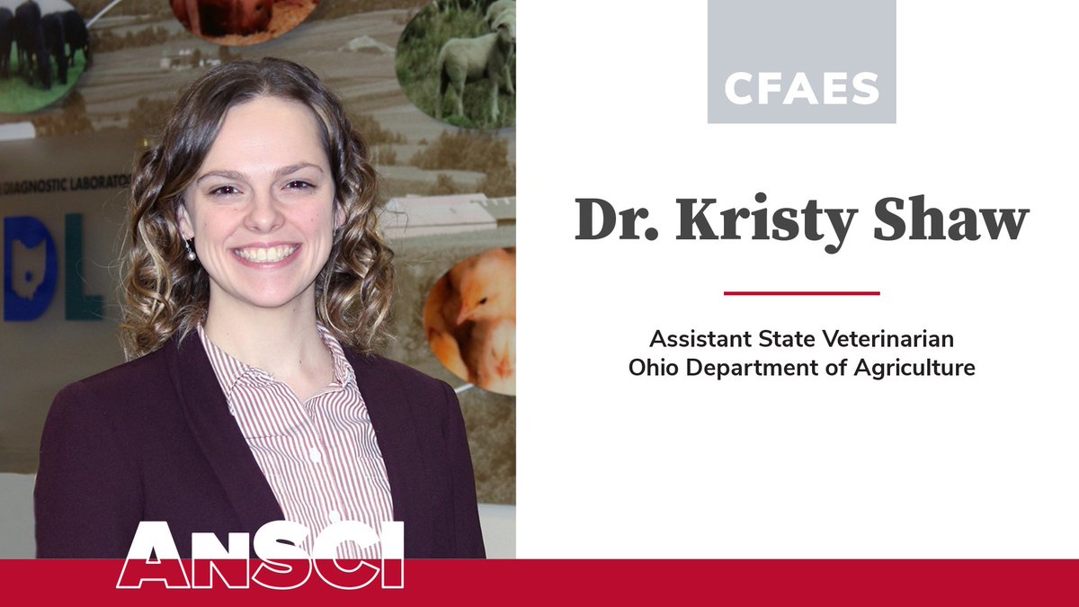 "When a door opens, walk in." 

We had the opportunity to sit down with Assistant State Veterinarian and Animal Sciences alumn, Dr. Kristy Shaw, to discuss her time on campus and beyond. 

Read more: 
go.osu.edu/CsHu