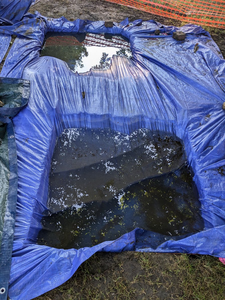 MSU Campus Archaeology Program tweet media