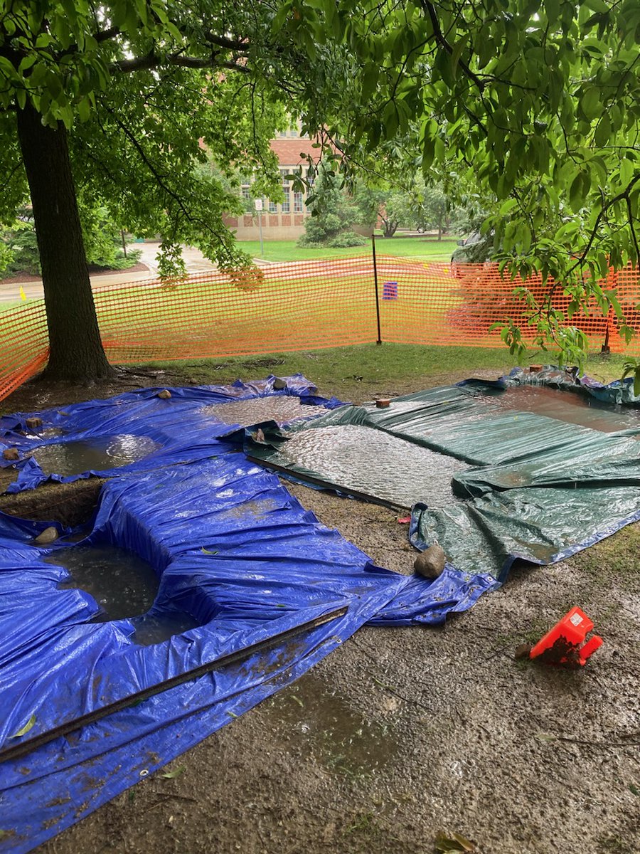 MSU Campus Archaeology Program tweet media