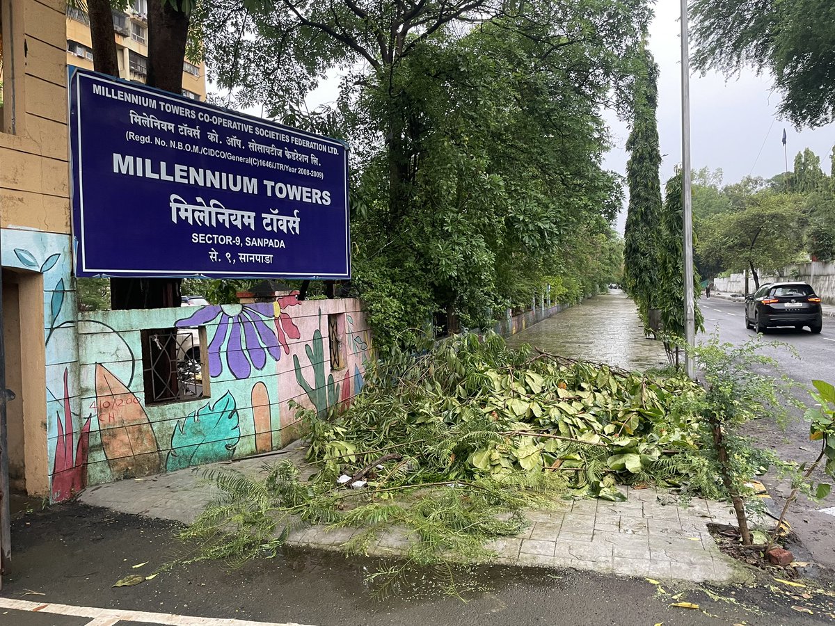 mariakauriam's tweet photo. Very pathetic state of footpaths in
Sanpada Sector 9, half or
Fully blocked with organic waste material and what not. #polution #trash
#navimumbai #sanpada #nmmc
#milleniumtowers @NMMConline
@NewsbandTweets @dashrathbhagat https://t.co/69CACs2hHL