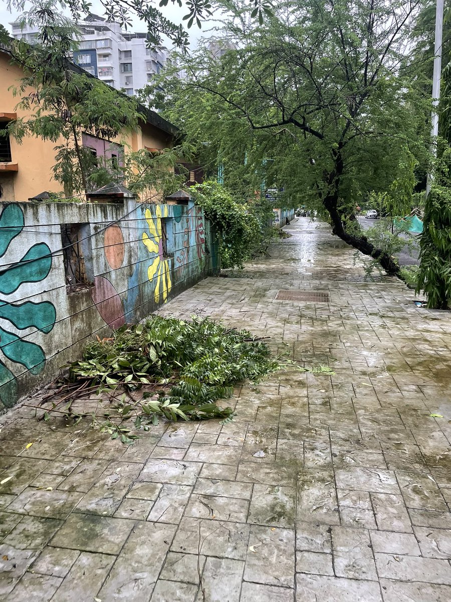 mariakauriam's tweet photo. Very pathetic state of footpaths in
Sanpada Sector 9, half or
Fully blocked with organic waste material and what not. #polution #trash
#navimumbai #sanpada #nmmc
#milleniumtowers @NMMConline
@NewsbandTweets @dashrathbhagat https://t.co/69CACs2hHL
