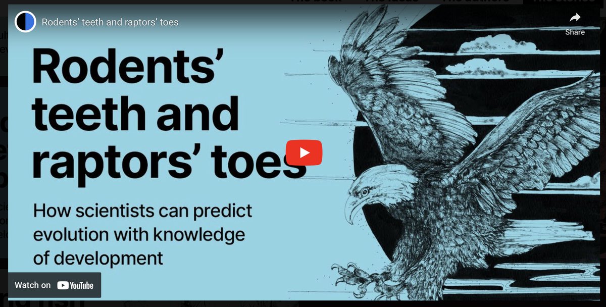 Can biologists predict which traits of organisms will evolve? You might be surprised. Watch "Rodents' teeth and Raptors' toes", the latest five-minute animation from the 'Evolution Evolving' website:

evolutionevolving.org/stories

These videos are produced by <a href="/DesignScienceUK/">Design Science</a>  based
