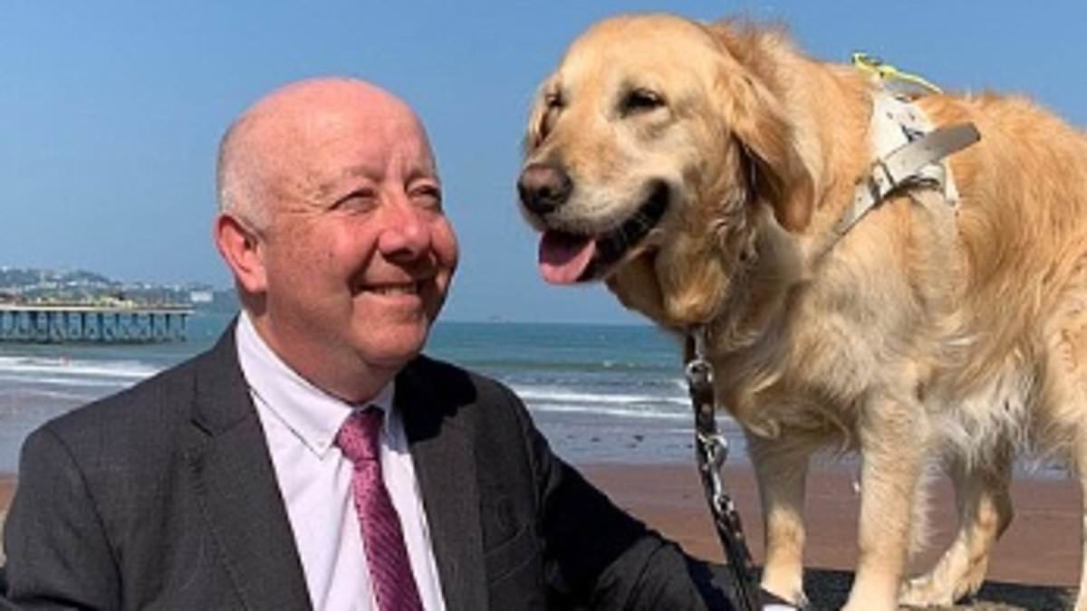 Note: we love that you're all really excited about new MP Steve Darling and his guide dog, Jennie, but just a little reminder to add alt text when you're sharing pictures of new MP Steve Darling and his guide dog, Jennie💡

It's easy to do - here's an example!