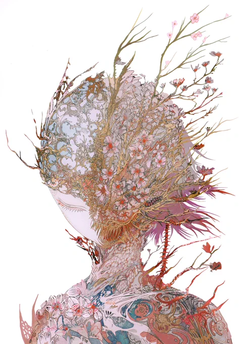 Cherry blossom 