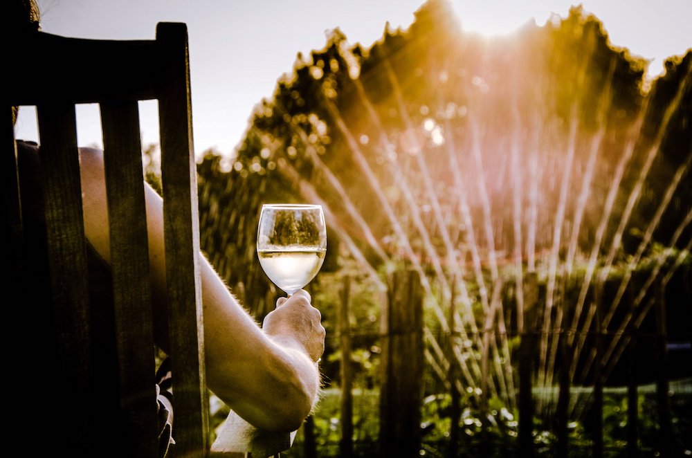 rickwine's tweet image. Making hybrid grapes cool again in Ontario. Once destined to be wiped out completely, these winter hardy grapes are making a come back with great success. Story now posted on Wines in Niagara ...
👉 bit.ly/HybridsCoolAga…