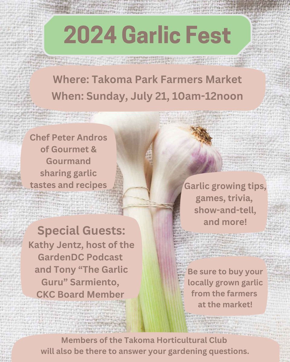 WDCGardener's tweet photo. Join me, members of the takoma hort club, and @tsarmiento22 the Garlic Guru at our annual Garlic π§ Fest at the @tpfarmersmarket on Sunday, July 21 from 10am-12n. Weβll have a chef with tasting samples and recipes too. #gardendc #dmv #garlic #tpmd #takomapark #garlicfest https://t.co/swI469PzRk