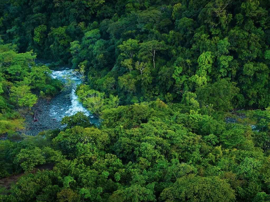 greeningaf's tweet image. Our existence hinges upon the immutable forces of water, trees, air, biodiversity, and nature. These are the life-guarantors that we need to treasure and safeguard. Let&apos;s ensure their longevity for a thriving future. #Sustainability #NatureProtection.