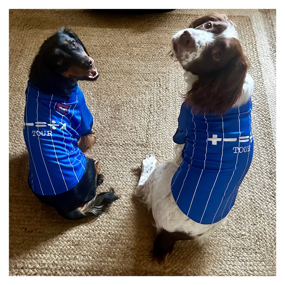 emwythe's tweet photo. Ready for the 2024/25 season! 
Come on you blues! 

@ITFC https://t.co/TNRvQPoYWG