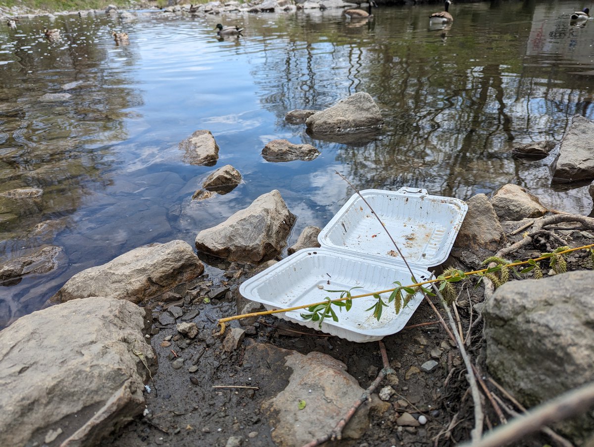 You may not realize it, but you consume much more plastic than you think. 

Recent research shows that plastics can enter our bloodstream through contaminated food, water &amp; air

Let's reduce plastic waste this #PlasticFreeJuly

Learn more: bit.ly/3XySG2T

<a href="/saugaparksrec/">Mississauga Parks & Recreation</a>