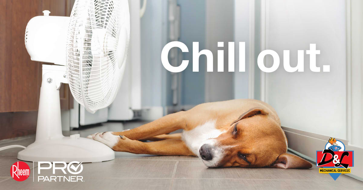 DandLMechanical's tweet photo. The dog days of summer may be sizzling, but your home shouldn’t be! 🐶🥵 Our team can fetch you some relief with our chilled comfort solutions. Book your next system service appointment with us today. 5402956697 #dandlguy #dandlmechanical https://t.co/DvVLEGfk3h