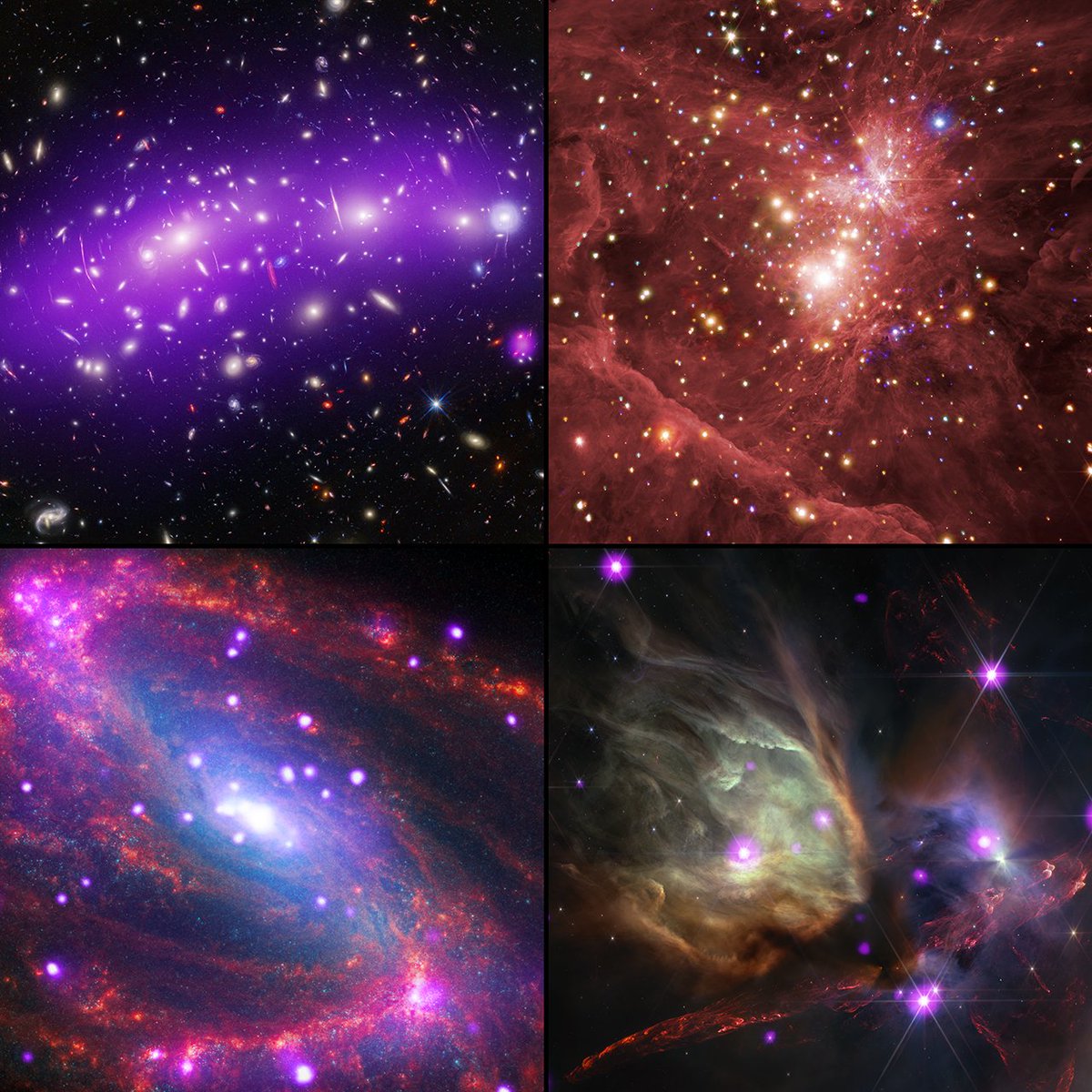 Chandra Observatory (@chandraxray) on Twitter photo Roads? Where we're going, we don't need roads. NASA's Chandra & Webb telescopes are taking us all on a cosmic summer road trip — using light as the highway — to visit four stunning destinations across space. More in the thread below and at: s.si.edu/roadtrip Roads? Where we're going, we don't need roads. NASA's Chandra & Webb telescopes are taking us all on a cosmic summer road trip — using light as the highway — to visit four stunning destinations across space. More in the thread below and at: s.si.edu/roadtrip
