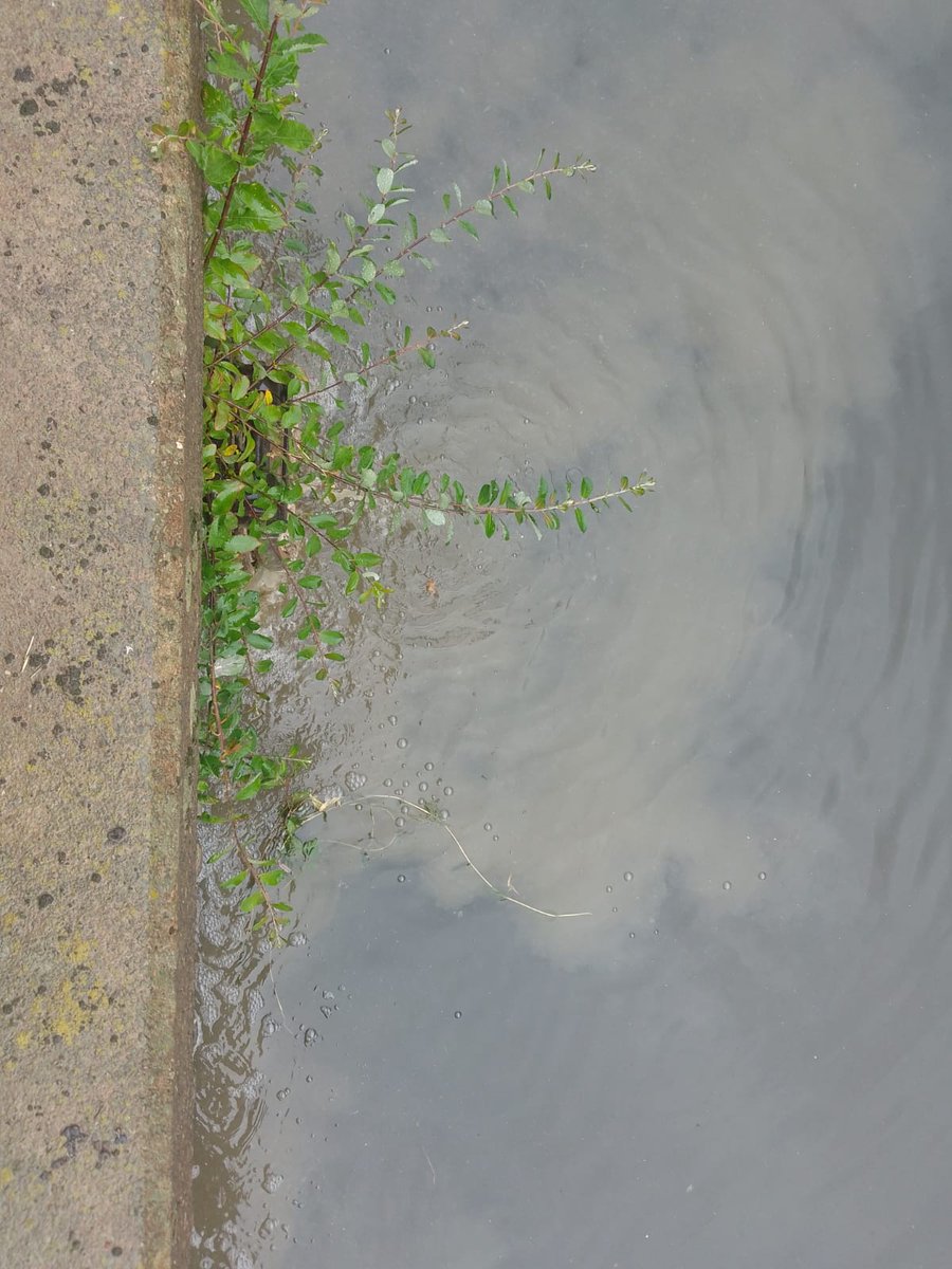 SarahClayton tweet media