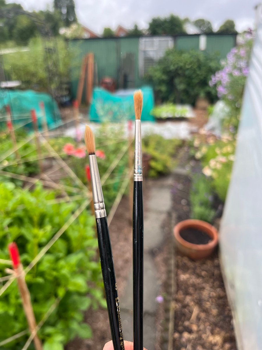 pottyplotters's tweet photo. Latest allotment ‘essential’ kit! No we’re not getting arty, we are getting tickly 😀
#allotment #allotmentlife #gyo #growyourown #selfsufficient #sustainable #thegoodlife #plotcast #podcast https://t.co/qpPg3QMoFw