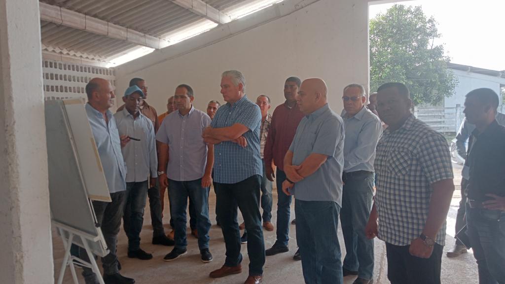 PartidoPCC's tweet photo. Cambiar mentalidades y apostar por la cría y desarrollo del búfalo beneficia al Colectivo Agropecuario Pradera Verde en ingresos y condiciones laborales. De esta vaquería se obtienen ejemplares para completar otras unidades y mantener la meta de seguir creciendo la masa bufalina https://t.co/UTwIaPFrCF
