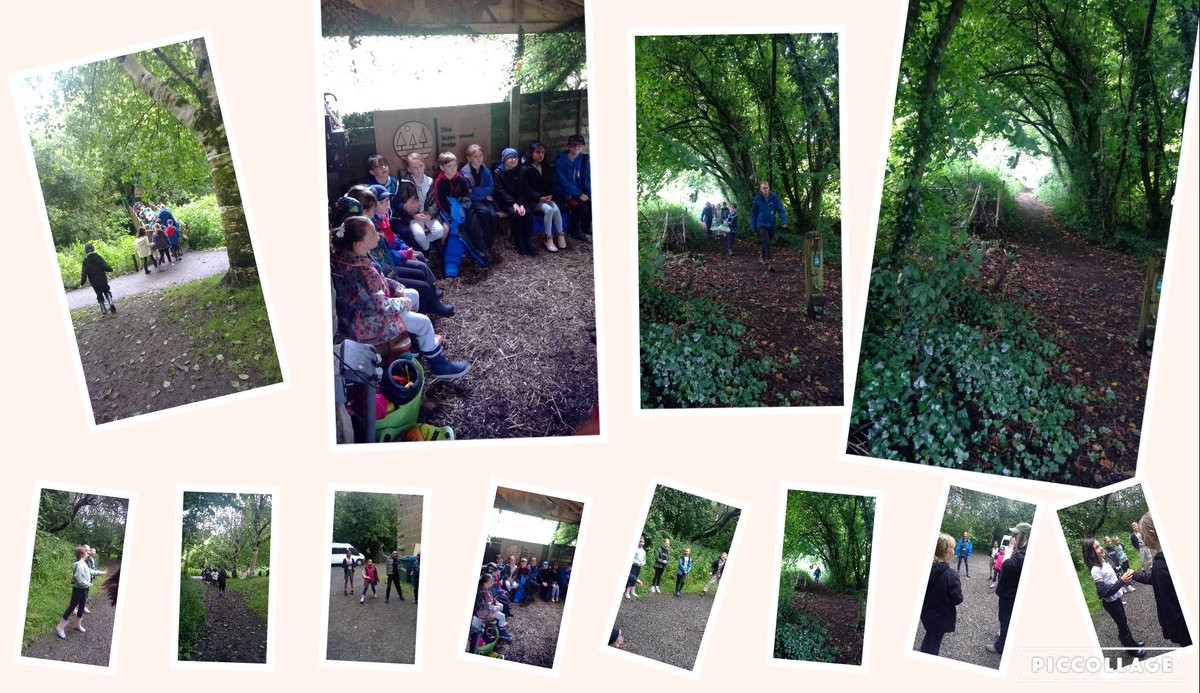 St.Michael’s RC Primary tweet media