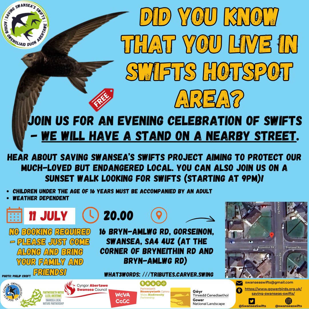 Reminder for our rescheduled event in Gorseinon this evening. All details can be found on the posters attached below. All are welcome and no booking required. (again there will be Swift cookies) #Swifts