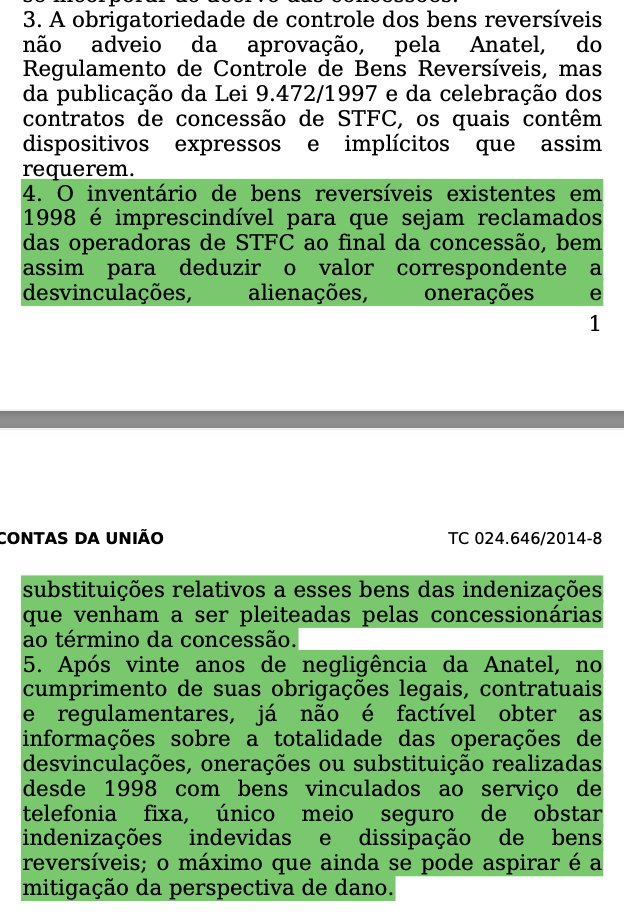 Flávia Lefèvre tweet media