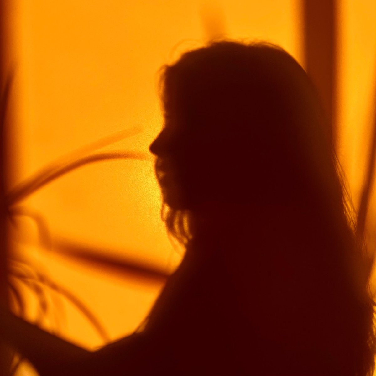 Born in spring,
made to sing,
poems ‘bout my past.