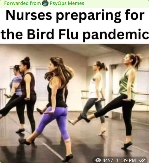 Get ready for the Nonsense: